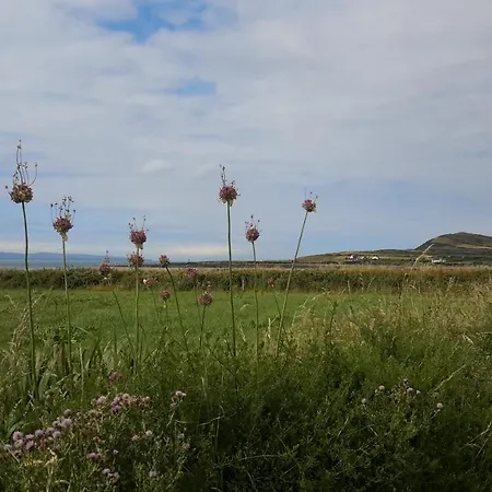 Clounconeen B&B Carrigaholt